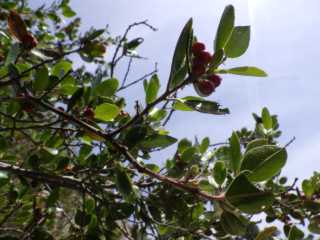 IMGP0106.JPG