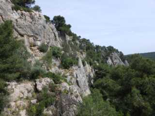 IMGP0114.JPG