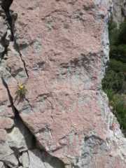 IMGP0116.JPG