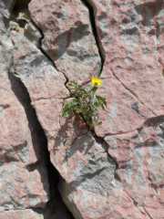 IMGP0118.JPG