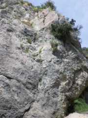 IMGP0119.JPG