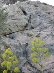 IMGP0134.JPG