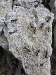 IMGP0177.JPG