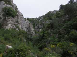 IMGP0185.JPG
