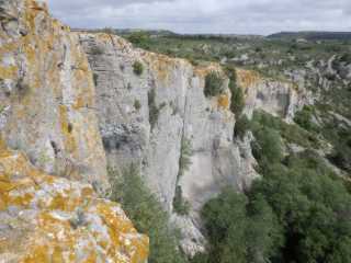 IMGP0202.JPG