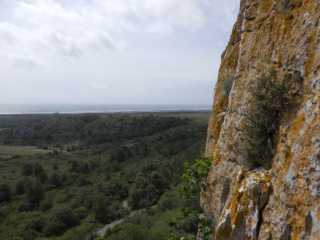 IMGP0204.JPG