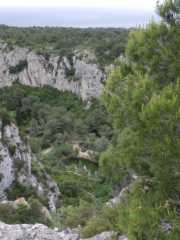 IMGP0234.JPG