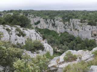 IMGP0237.JPG