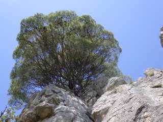 IMGP0291.JPG