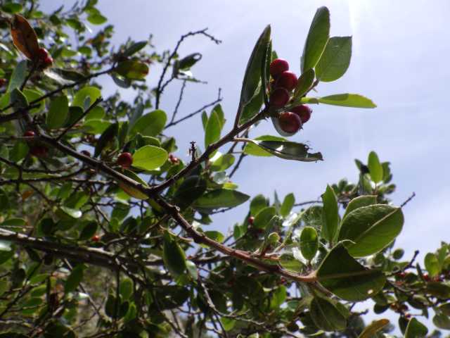 IMGP0106.JPG