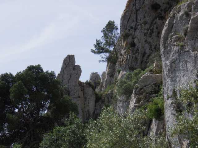 IMGP0112.JPG