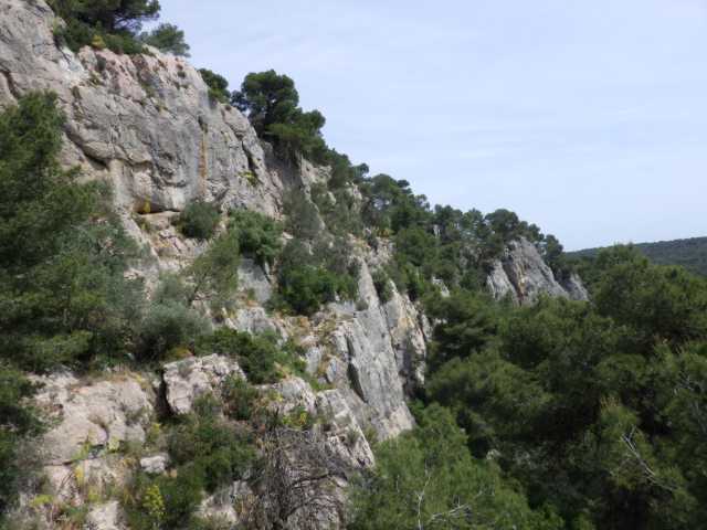 IMGP0114.JPG