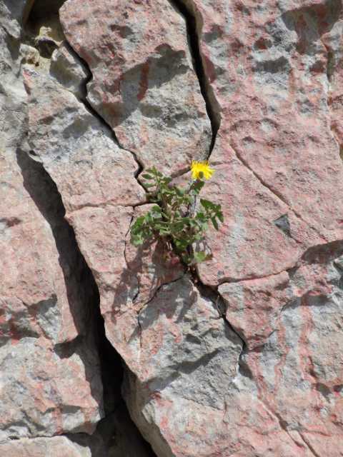 IMGP0118.JPG
