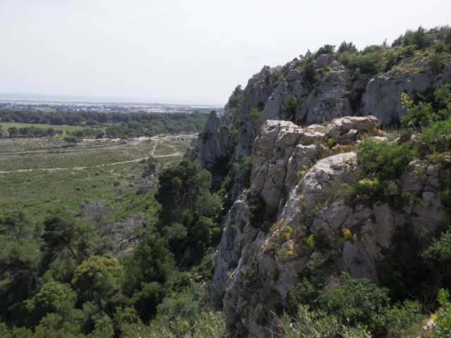 IMGP0122.JPG