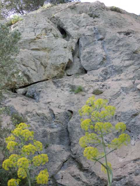 IMGP0134.JPG