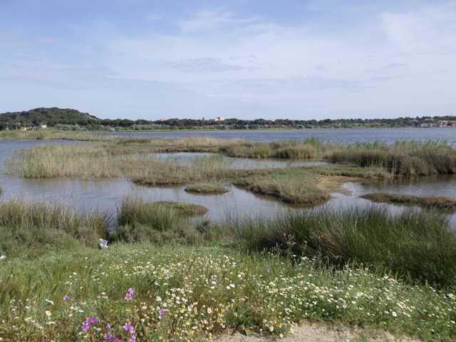 IMGP0141.JPG