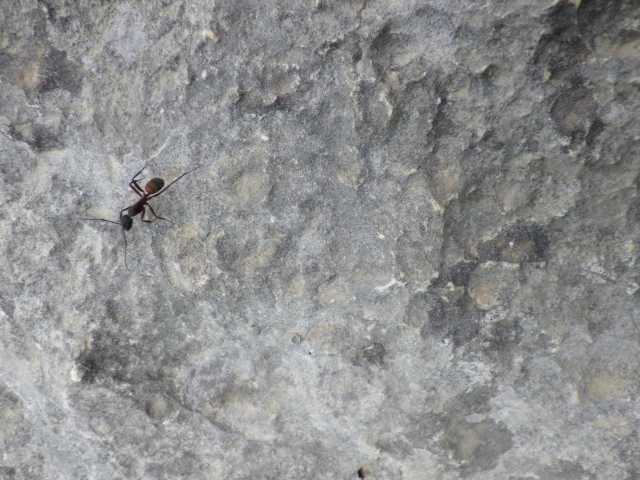 IMGP0157.JPG