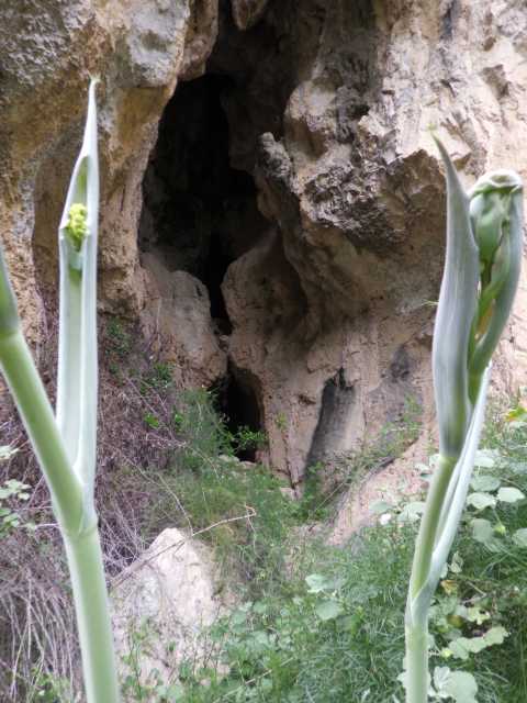 IMGP0179.JPG