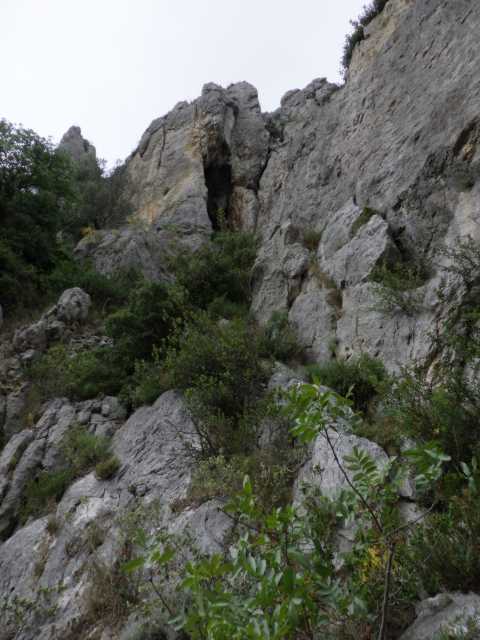 IMGP0182.JPG