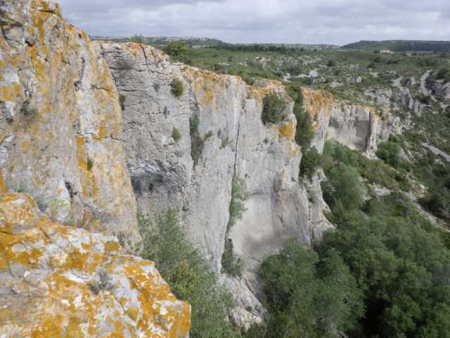 IMGP0202.JPG
