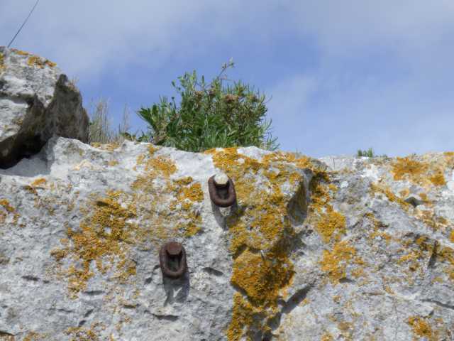 IMGP0206.JPG