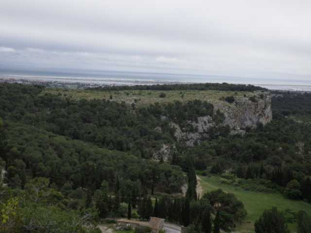 IMGP0238.JPG
