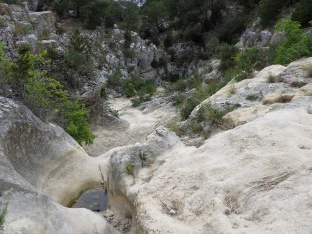 IMGP0262.JPG