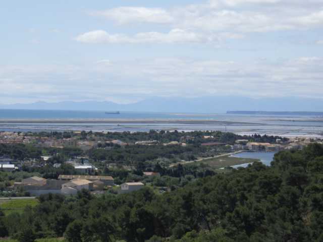 IMGP0272.JPG