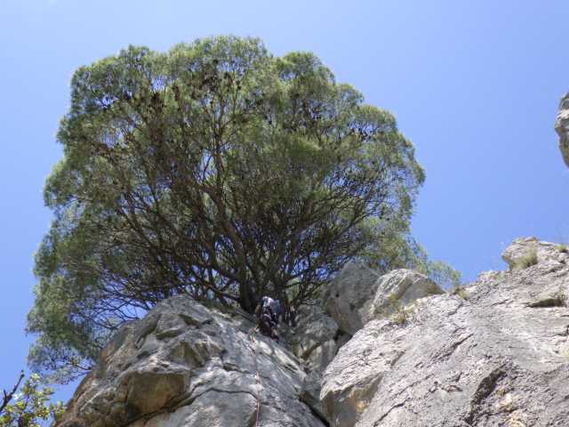 IMGP0291.JPG
