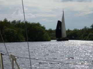 IMGP0347.JPG