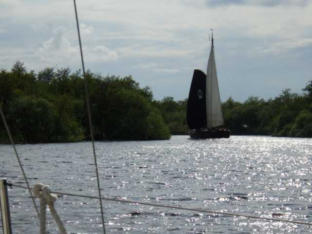 IMGP0347.JPG