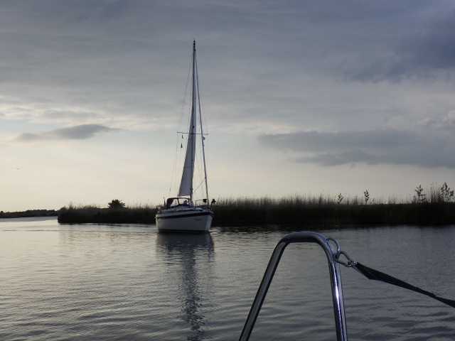 IMGP0364.JPG