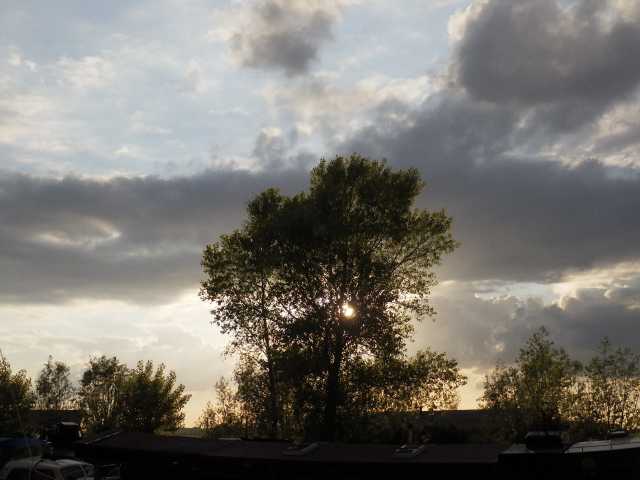 IMGP0372.JPG