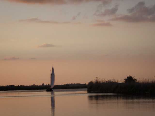IMGP0381.JPG