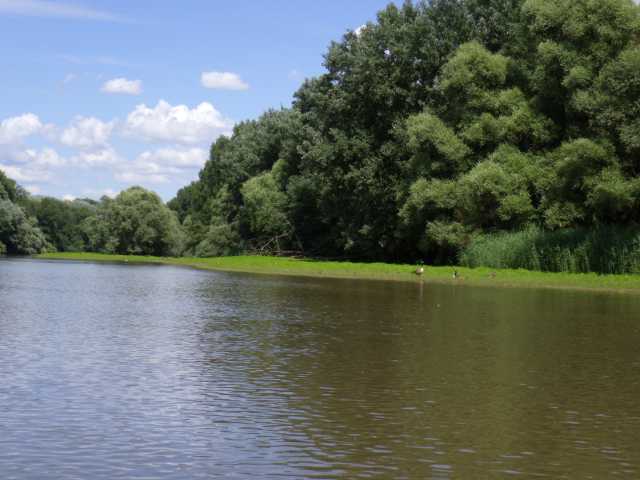 IMGP0413.JPG