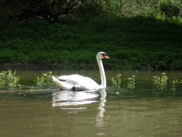 IMGP0427.JPG