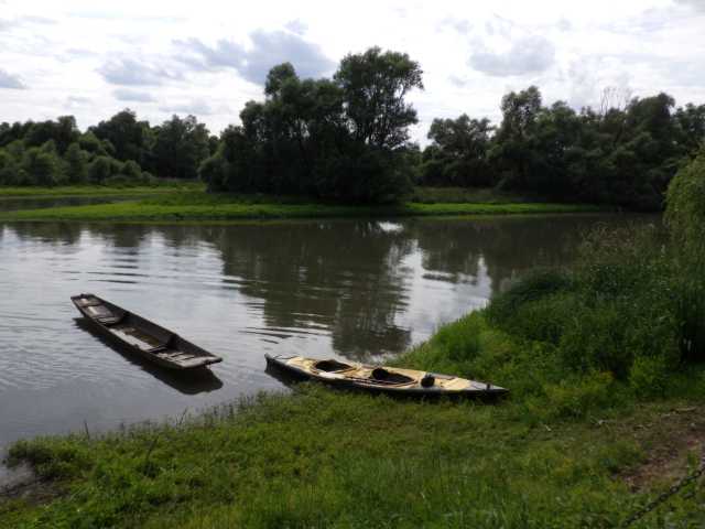 IMGP0432.JPG