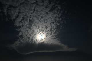 DSC_9477.JPG
