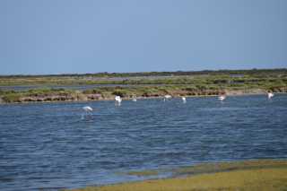 DSC_9482.JPG