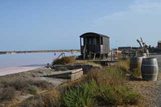 DSC_9499.JPG