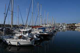 DSC_9516.JPG
