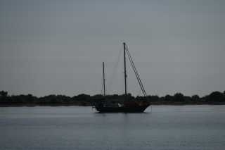 DSC_9540.JPG