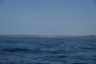 DSC_9619.JPG
