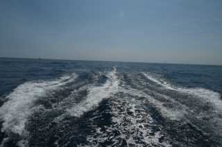DSC_9952.JPG
