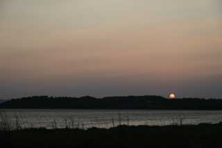 DSC_9987.JPG