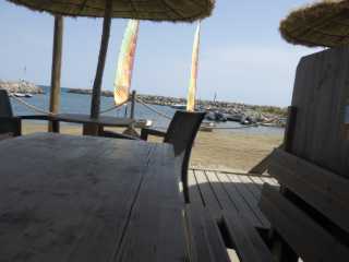 IMGP0705.JPG