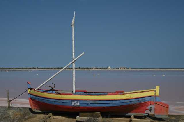 DSC_9443.JPG