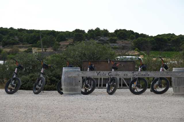 DSC_9447.JPG