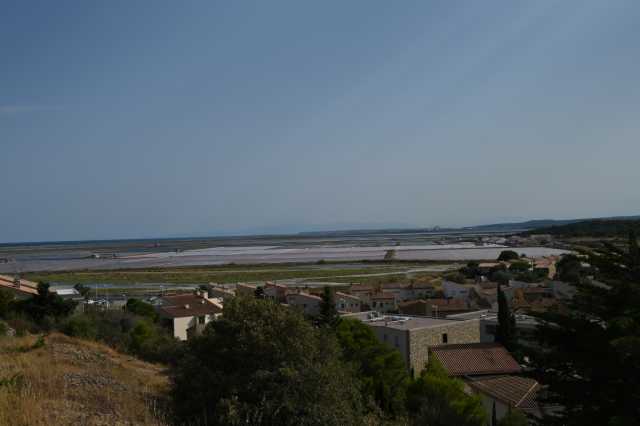 DSC_9449.JPG