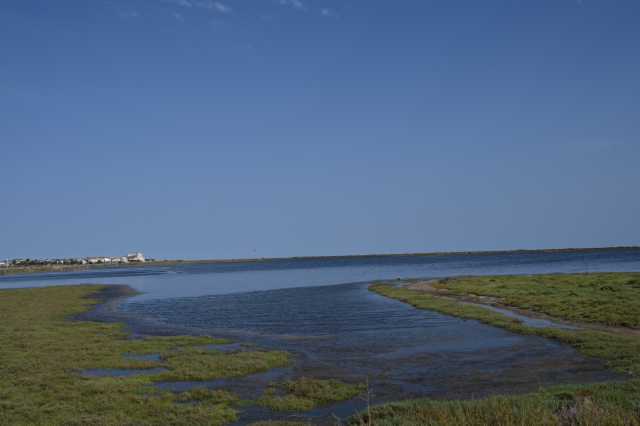 DSC_9455.JPG